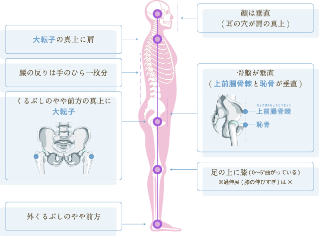 理想の姿勢